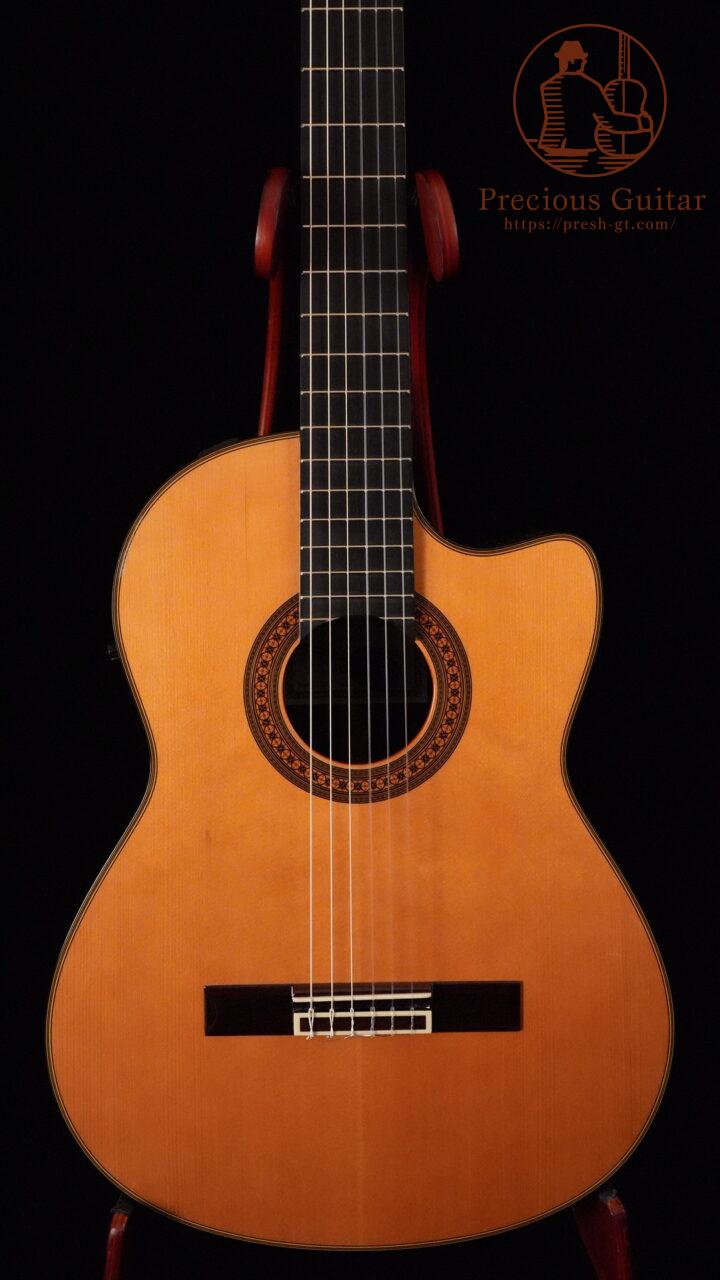 YAMAHA GCX-31C 2008年製 インドローズ総単板 美品 | Precious Guitar